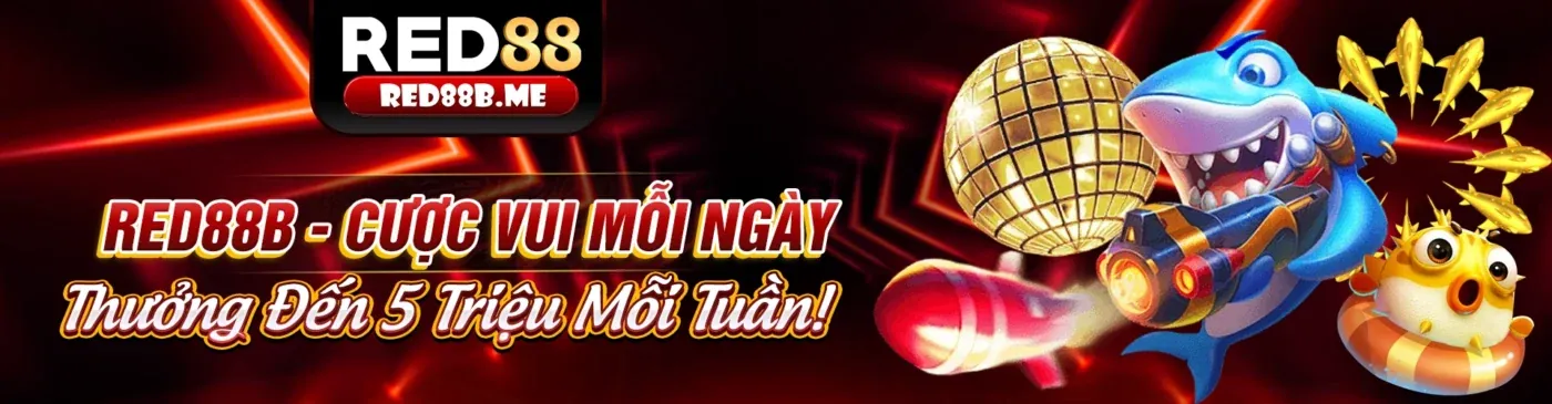 Hình ảnh đại diện cho chính sách cookie và bảo mật dữ liệu của Vicwin