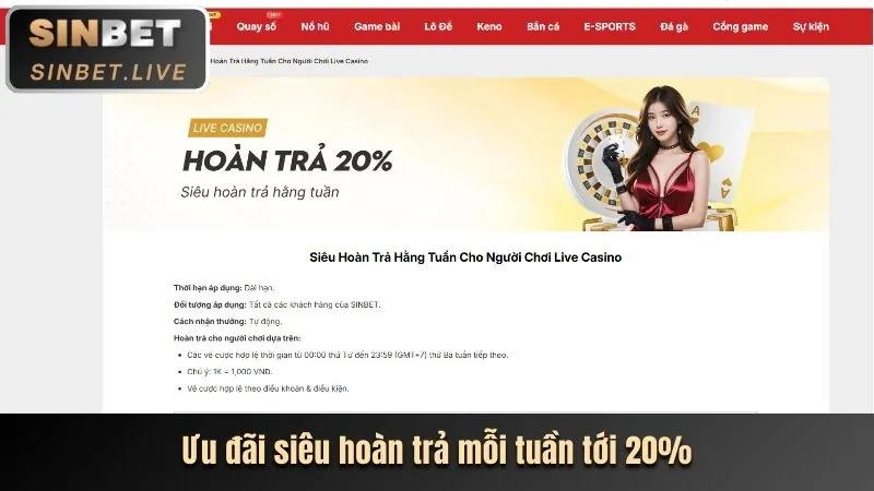 Sứ mệnh của Vicwin